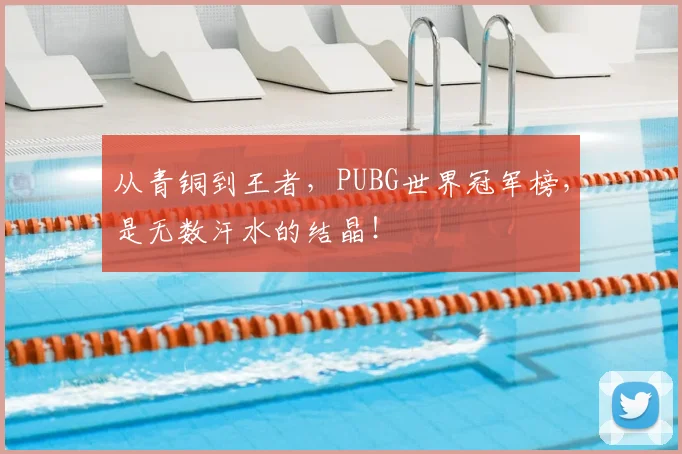 从青铜到王者，PUBG世界冠军榜，是无数汗水的结晶！