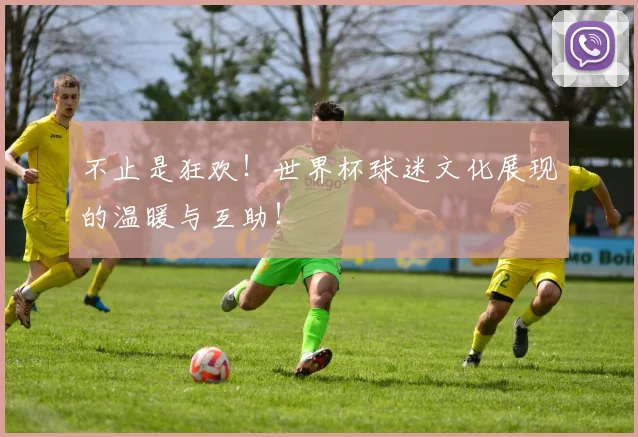 不止是狂欢!世界杯球迷文化展现的温暖与互助!