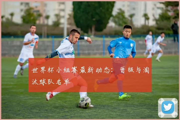 世界杯小组赛最新动态:晋级与淘汰球队名单